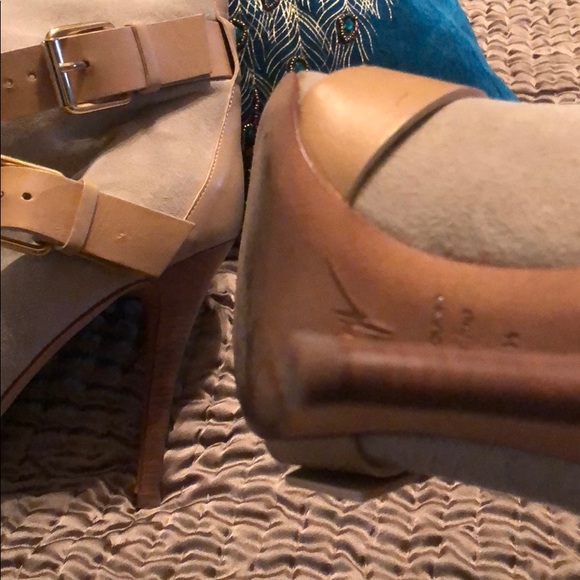 Giuseppe Zanotti - Picture 4 of 7